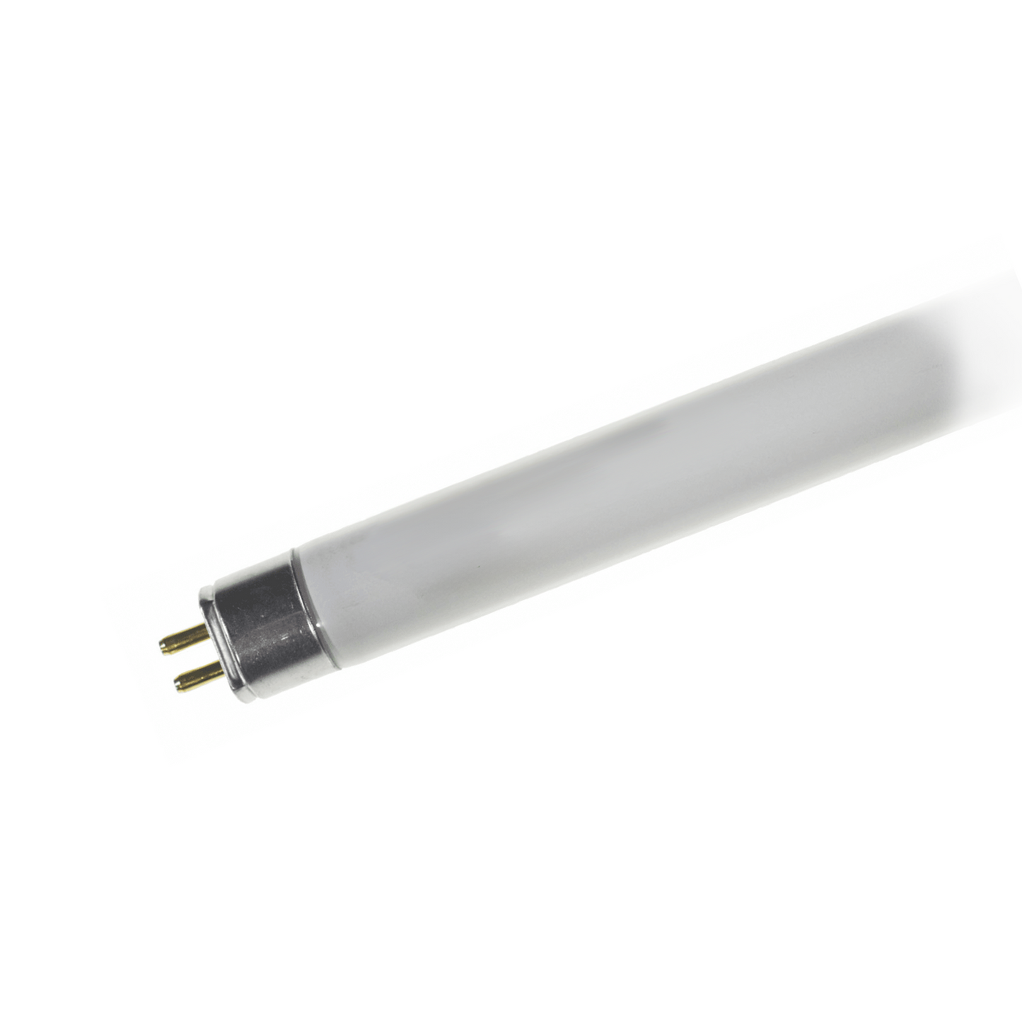T5 BULB, SHATTER SHIELD 300°